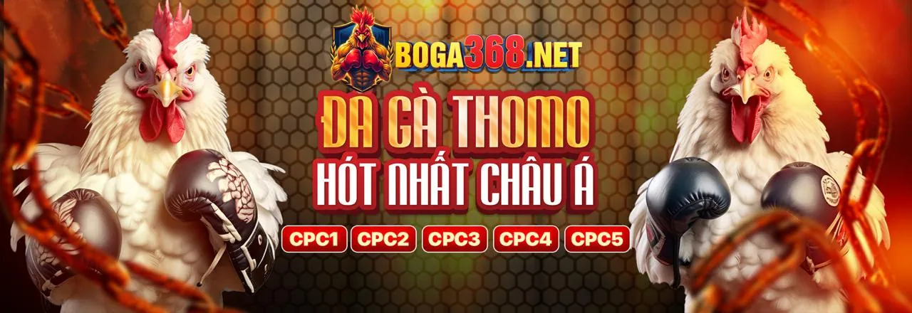 Cá Cược Thể Thao Đỉnh Cao tại ok789 chính thức