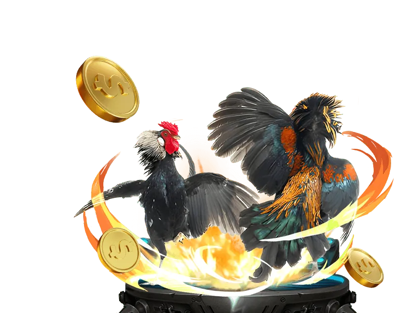 Người chơi thắng jackpot tại OK789